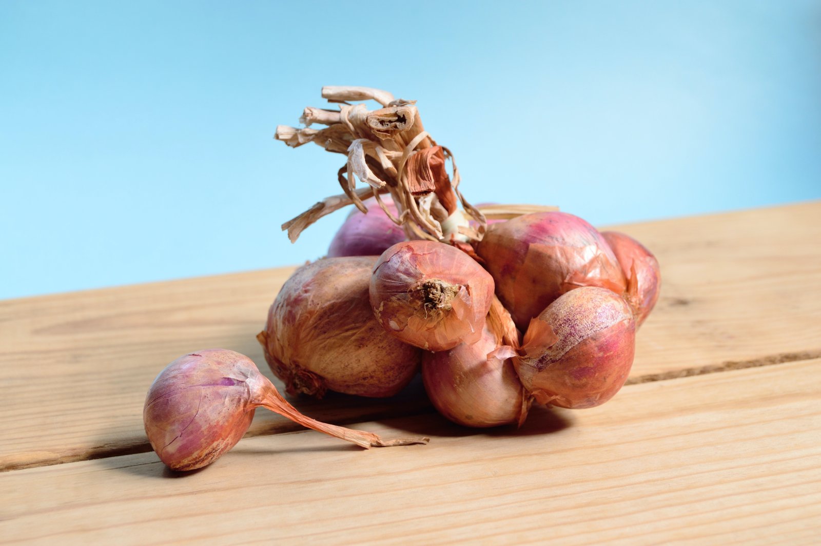 Red and white onions 